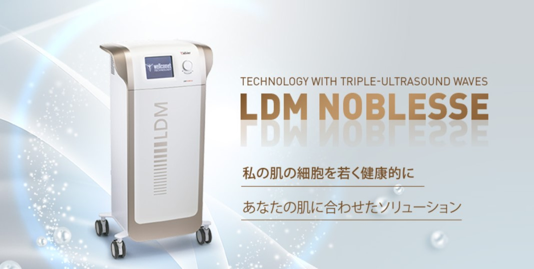 補助金申請】「LDM ノーブレス トリプルリフティング 【フェイス 